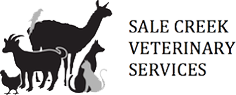 Sale Creek Logo