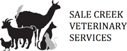 Sale Creek Logo