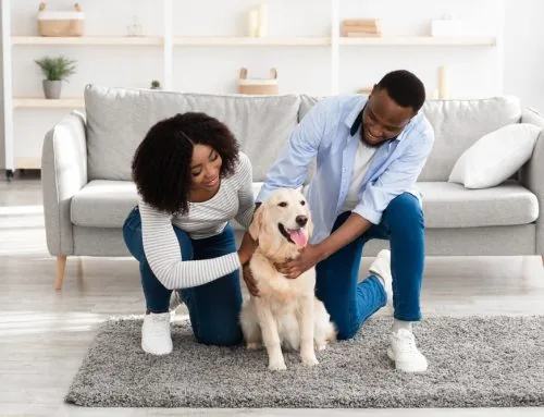 4 Steps to Successful Pet Adoption
